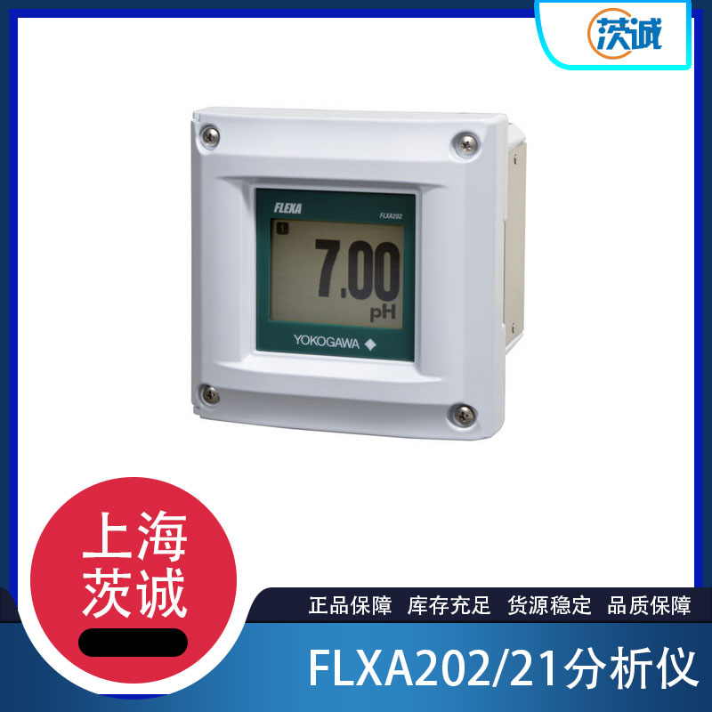 FLXA202/21两线制双通道变送器/分析仪